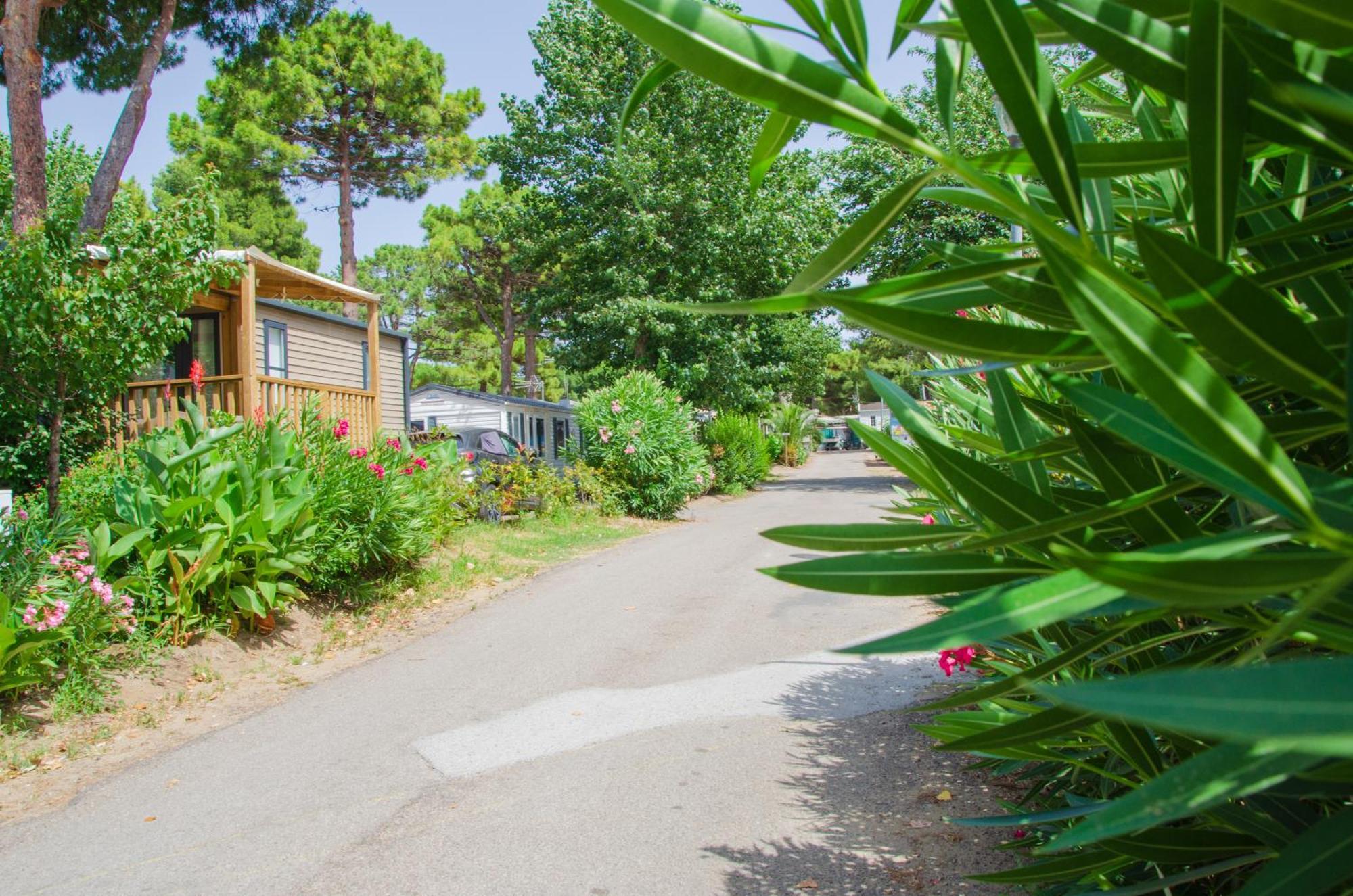 Camping Les Jardins D Agathe Le Grau-dʼAgde Exterior foto