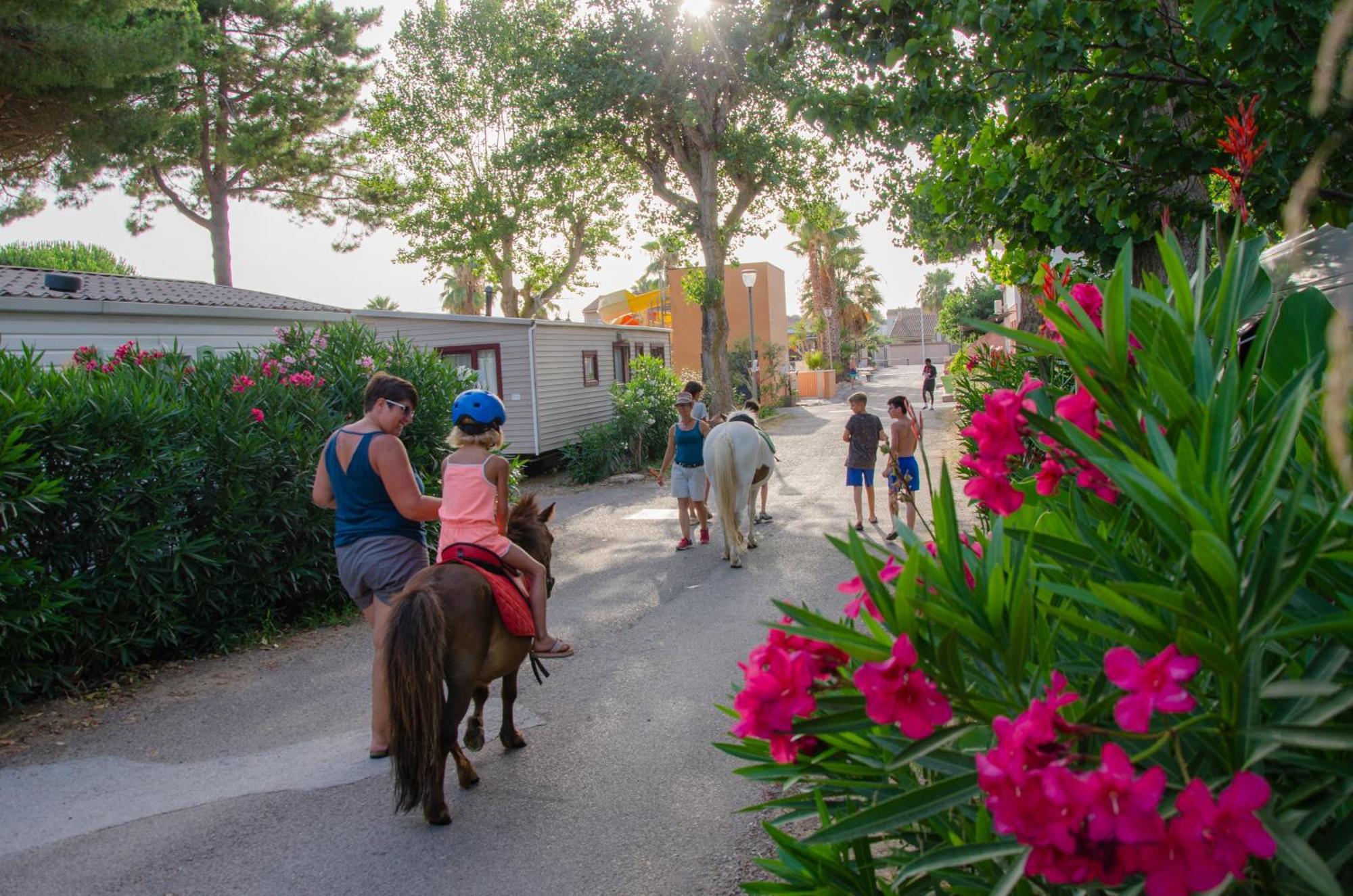 Camping Les Jardins D Agathe Le Grau-dʼAgde Exterior foto